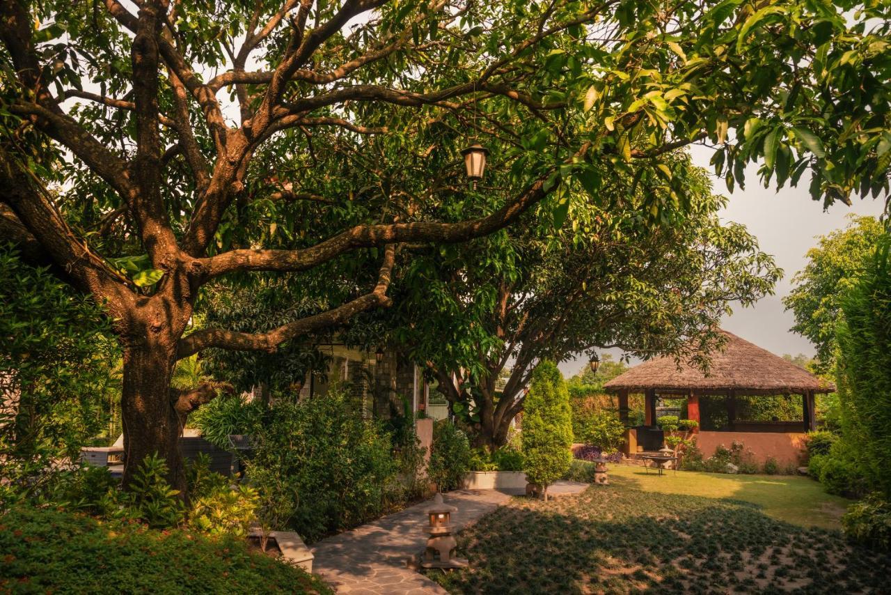 Tree Of Life Vanvilas Riveredge Corbett Ramnagar  Exterior photo